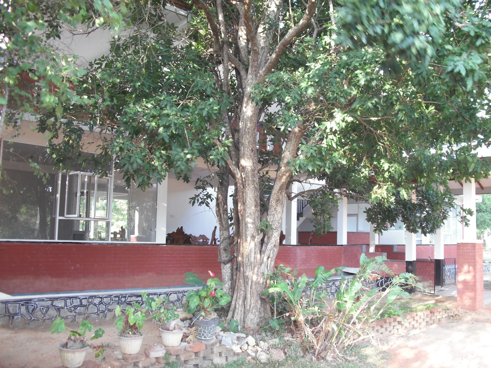 Sinhagiri Villa Sigiriya Exterior foto
